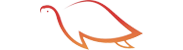 Caasijti